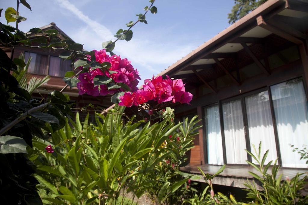 Kenaki Lodge Puerto Viejo de Talamanca Kültér fotó