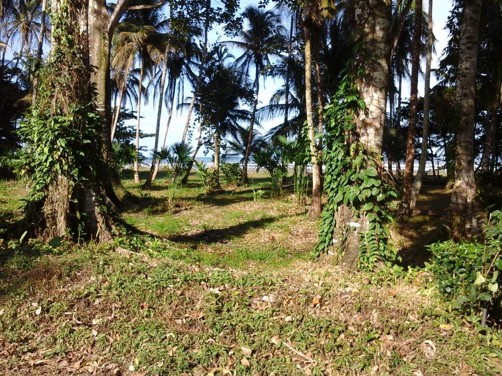 Kenaki Lodge Puerto Viejo de Talamanca Kültér fotó