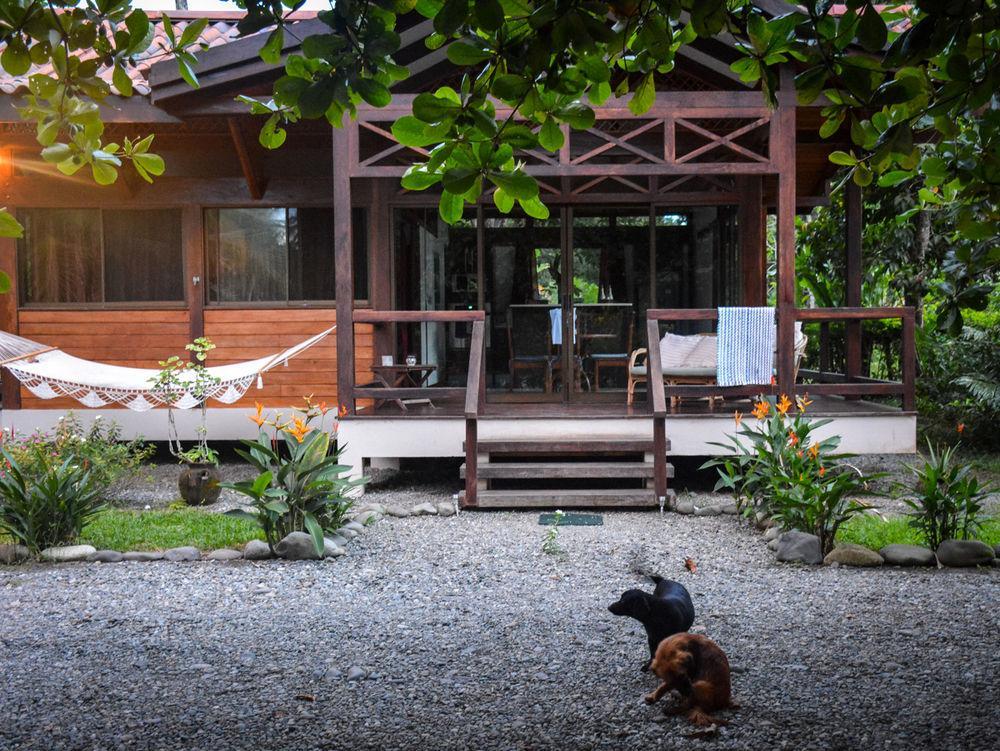 Kenaki Lodge Puerto Viejo de Talamanca Kültér fotó