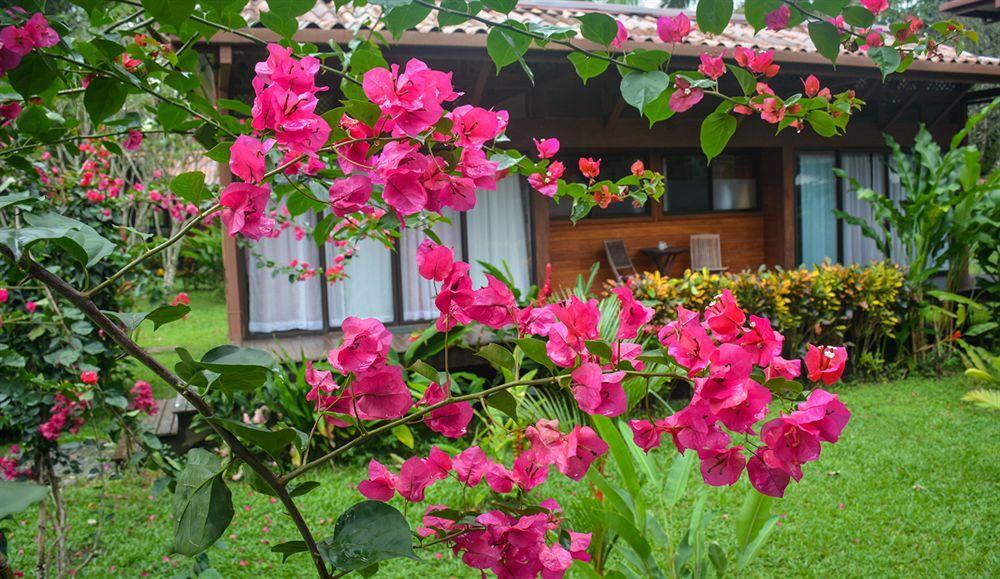 Kenaki Lodge Puerto Viejo de Talamanca Kültér fotó