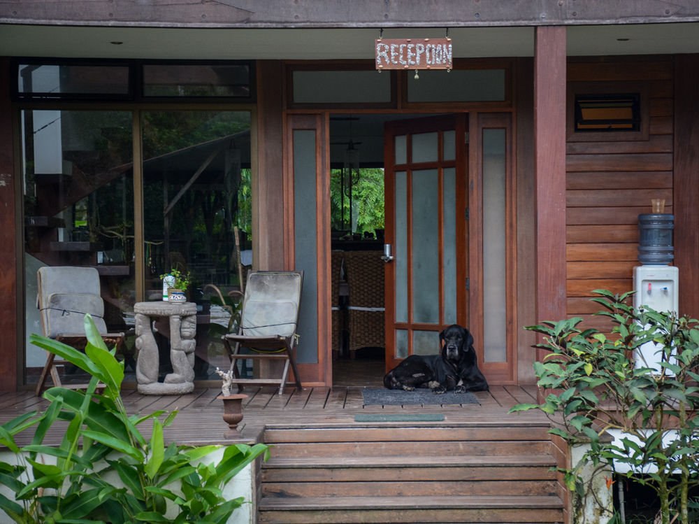 Kenaki Lodge Puerto Viejo de Talamanca Kültér fotó